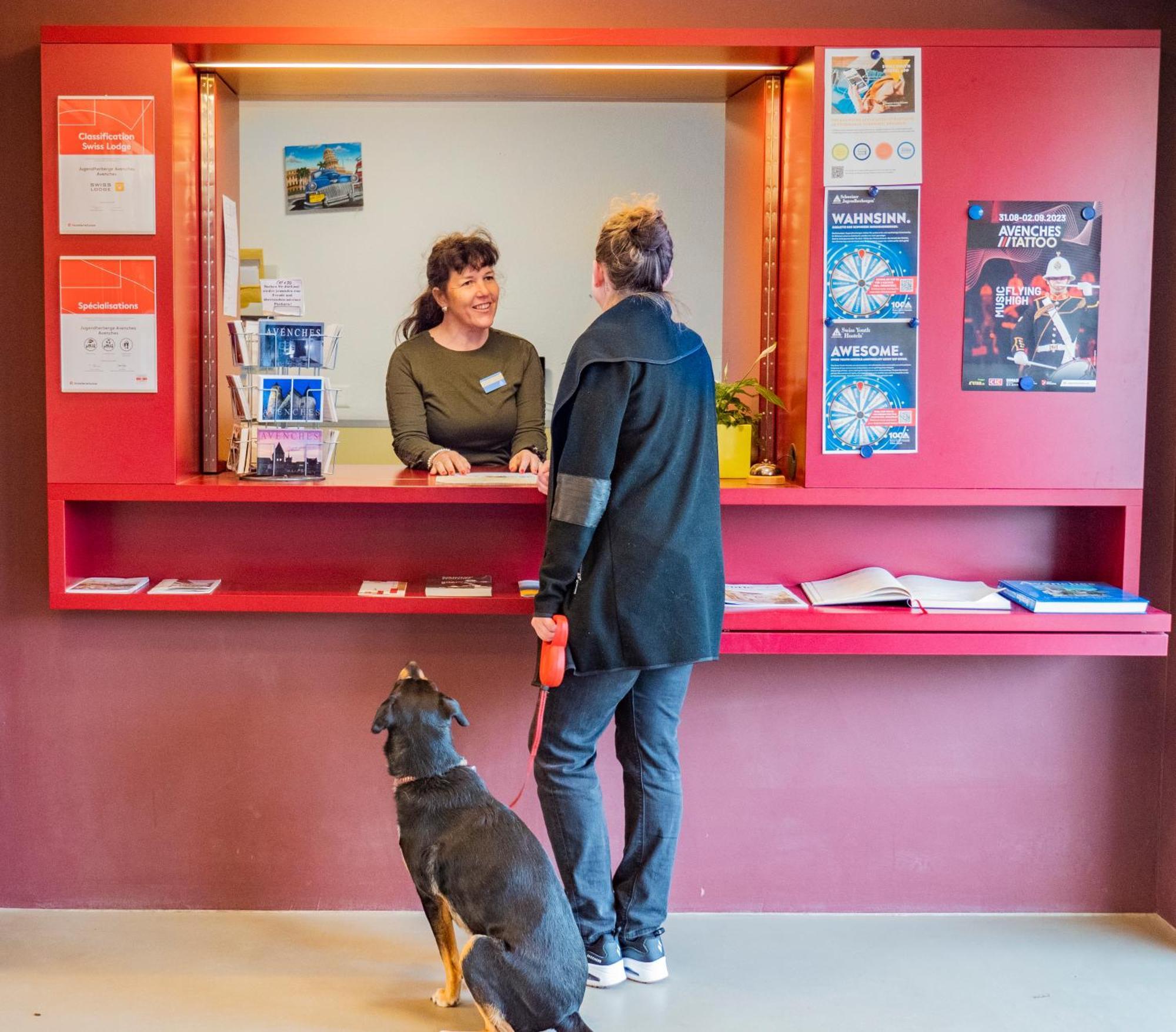 Youth Auberge de jeunesse